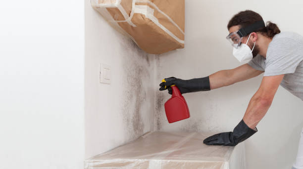 Professional Mold Remediation technician working in Auburn, MI