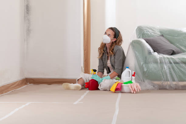 Reliable Mold Remediation contractor in Auburn, MI by WQB Mold Removal
